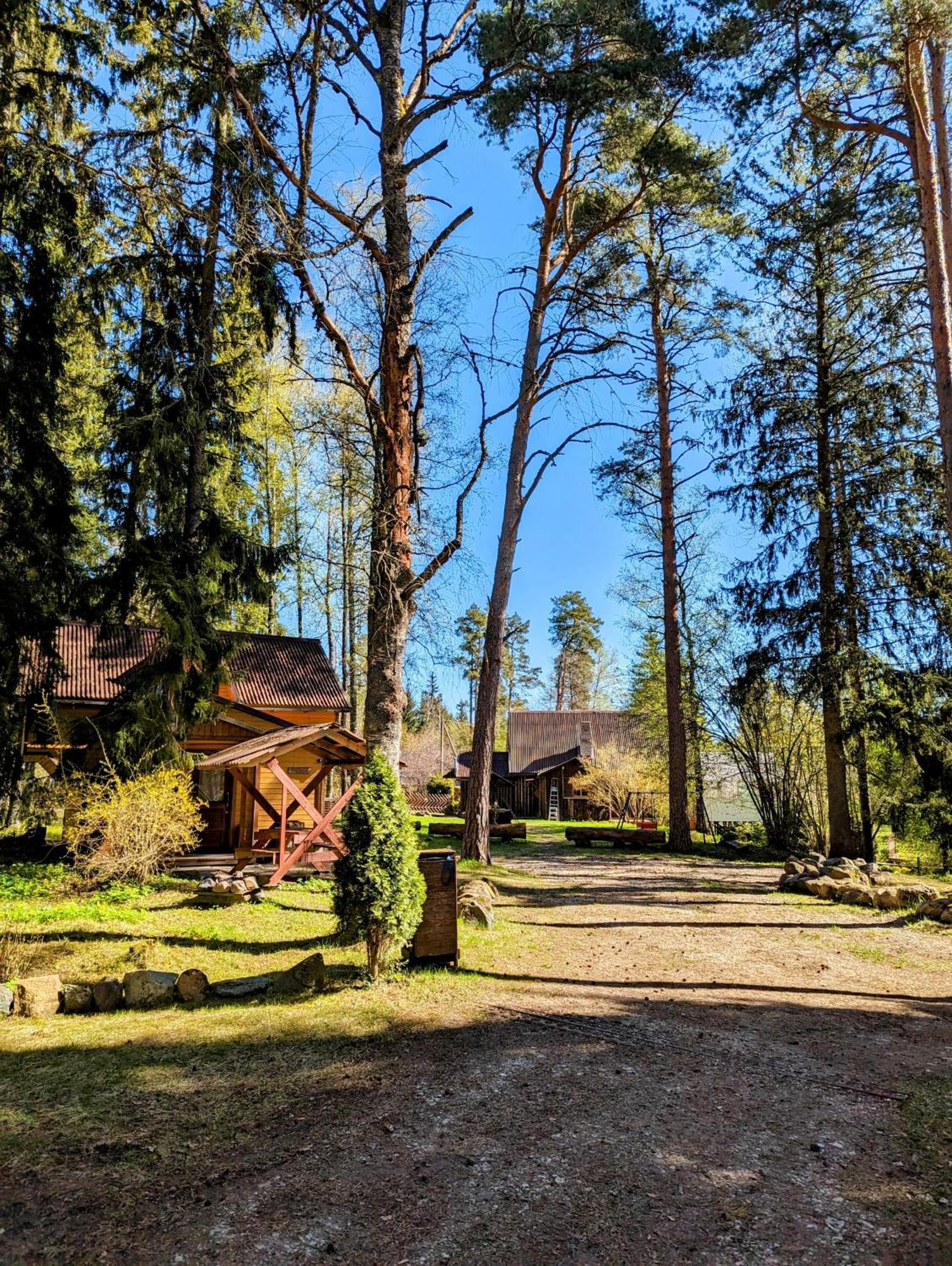 Pensjonat Rehe Turismitalu Kuijõe Zewnętrze zdjęcie